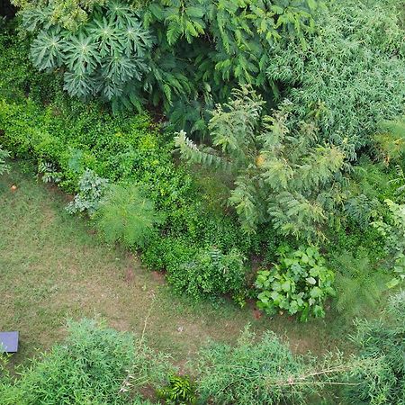 Osho Villa Guest House ジャイプール エクステリア 写真
