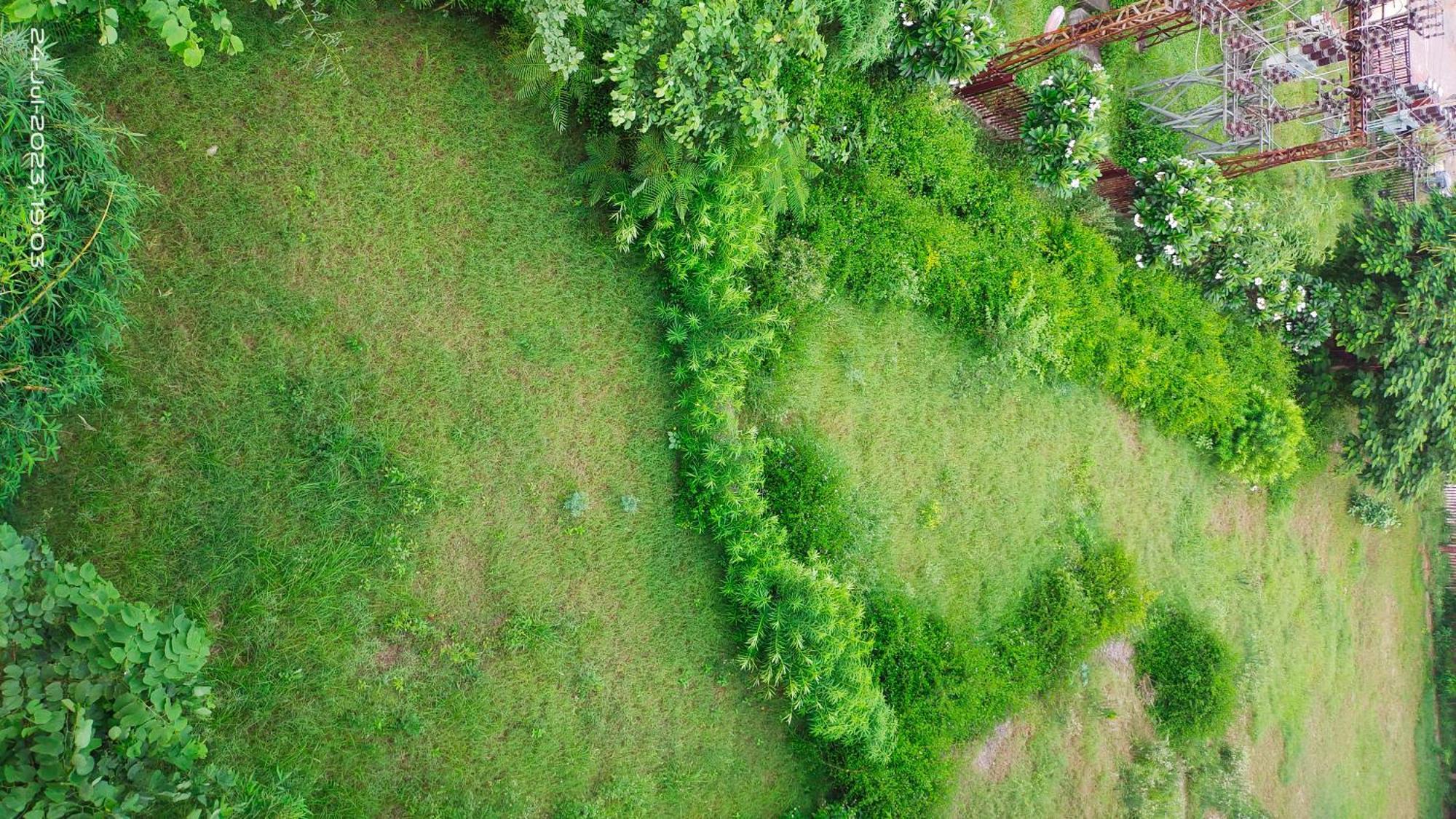 Osho Villa Guest House ジャイプール エクステリア 写真