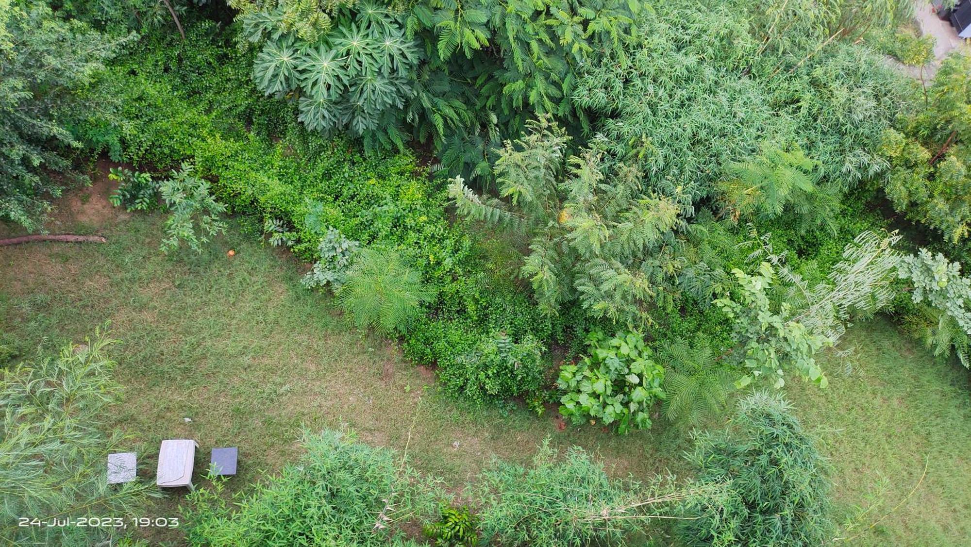 Osho Villa Guest House ジャイプール エクステリア 写真